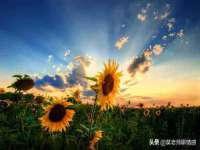 沛县锦味时光电子商务有限公司