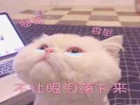 沛县锦味时光电子商务有限公司