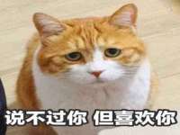 沛县锦味时光电子商务有限公司