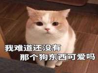 沛县锦味时光电子商务有限公司