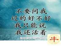 沛县锦味时光电子商务有限公司