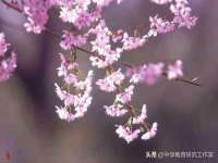 沛县锦味时光电子商务有限公司