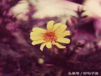 沛县锦味时光电子商务有限公司