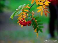 沛县锦味时光电子商务有限公司