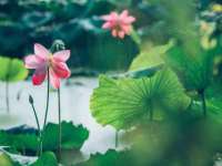 沛县锦味时光电子商务有限公司
