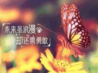 沛县锦味时光电子商务有限公司