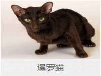 沛县锦味时光电子商务有限公司