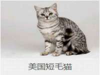 沛县锦味时光电子商务有限公司