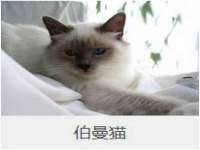 沛县锦味时光电子商务有限公司