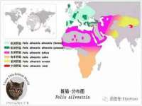 沛县锦味时光电子商务有限公司
