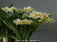 沛县锦味时光电子商务有限公司