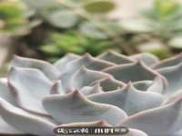 沛县锦味时光电子商务有限公司