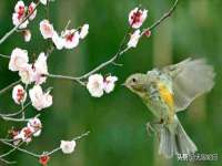沛县锦味时光电子商务有限公司