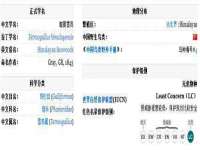 沛县锦味时光电子商务有限公司
