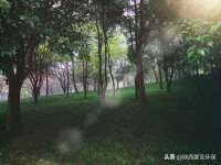 沛县锦味时光电子商务有限公司