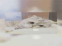 沛县锦味时光电子商务有限公司
