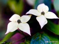 沛县锦味时光电子商务有限公司