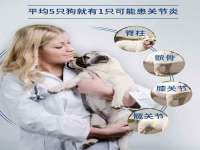 沛县锦味时光电子商务有限公司