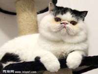 沛县锦味时光电子商务有限公司