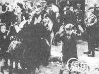 沛县锦味时光电子商务有限公司