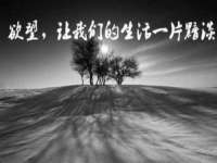 沛县锦味时光电子商务有限公司