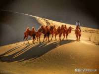 沛县锦味时光电子商务有限公司