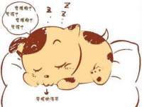 沛县锦味时光电子商务有限公司