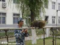 沛县锦味时光电子商务有限公司