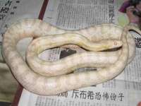 沛县锦味时光电子商务有限公司