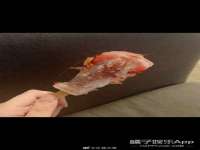 沛县锦味时光电子商务有限公司